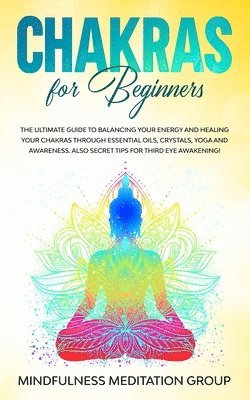 Mindfulness Meditation Group - Chakras for Beginners, Häftad