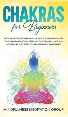 bokomslag Chakras for Beginners