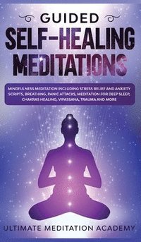 bokomslag Guided Self-Healing Meditations