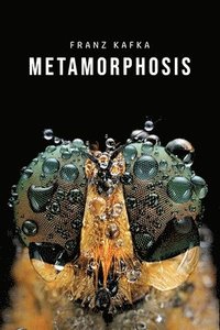 bokomslag Metamorphosis
