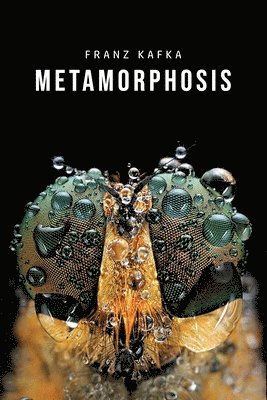 bokomslag Metamorphosis