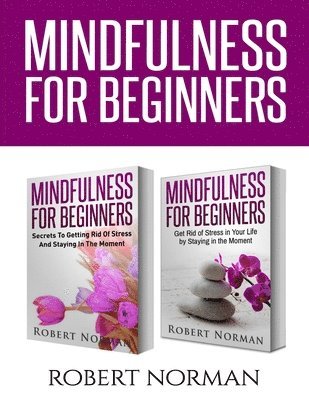 bokomslag Mindfulness for Beginners