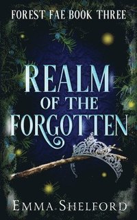 bokomslag Realm of the Forgotten