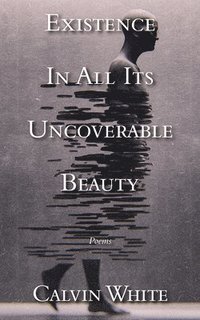 bokomslag Existence in All Its Uncoverable Beauty