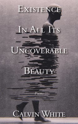 bokomslag Existence in All Its Uncoverable Beauty