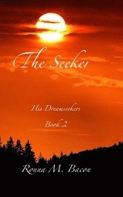 The Seeker 1