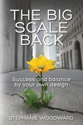 bokomslag Big Scale Back