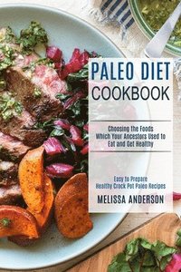 bokomslag Paleo Diet Cookbook