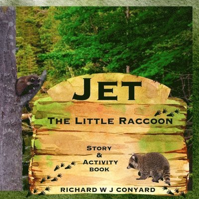 Jet The Little Raccoon 1