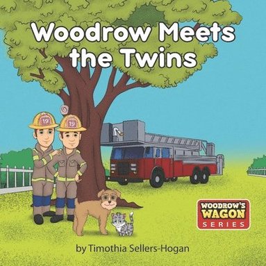 Timothia Sellers-Hogan - Woodrow Meets the Twins, Häftad