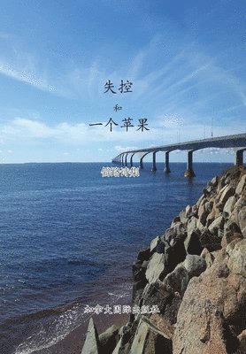 Lu Pi - 失控和一个苹果, Häftad