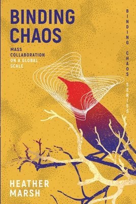 bokomslag Binding Chaos