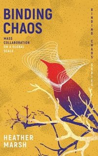 bokomslag Binding Chaos