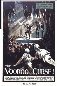 bokomslag Voodoo Curse