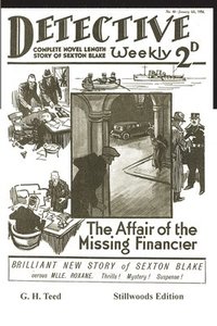 bokomslag Affair of the Missing Financier