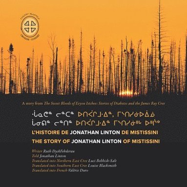 bokomslag L'histoire De Jonathan Linton De Mistissini