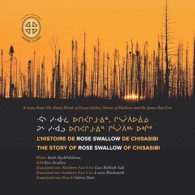 bokomslag L'histoire De Rose Swallow De Chisasibi