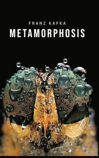 bokomslag Metamorphosis