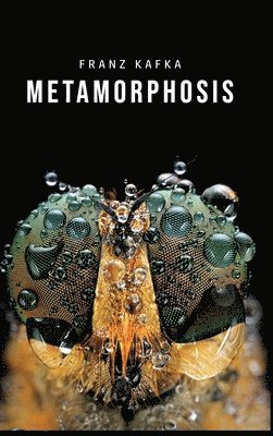 bokomslag Metamorphosis