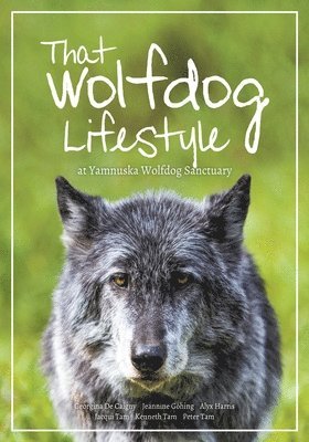 That Wolfdog Lifestyle 1