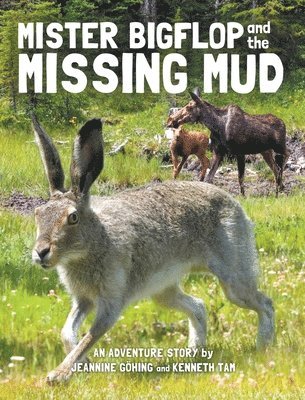 Mister Bigflop and the Missing Mud