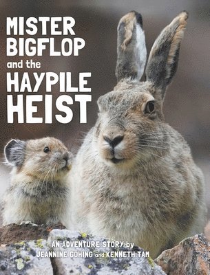 Mister Bigflop and the Haypile Heist 1