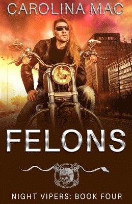 bokomslag Felons