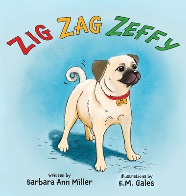 Barbara Ann Miller - Zig Zag Zeffy, Inbunden