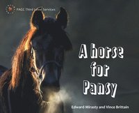 bokomslag A Horse for Pansy