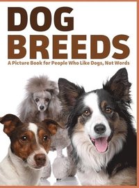 bokomslag Dog Breeds