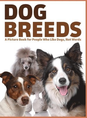 Dog Breeds 1