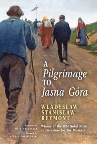bokomslag A Pilgrimage to Jasna Gra (English Translation)