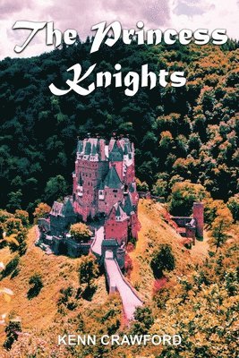 bokomslag The Princess Knights
