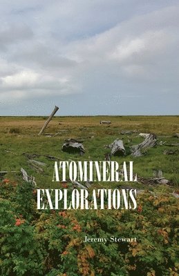 Jeremy Stewart - Atomineral Explorations, Häftad