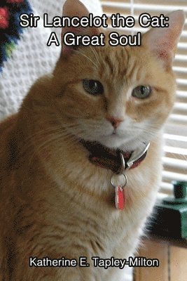 Sir Lancelot the Cat