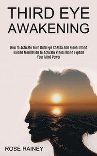 bokomslag Third Eye Awakening
