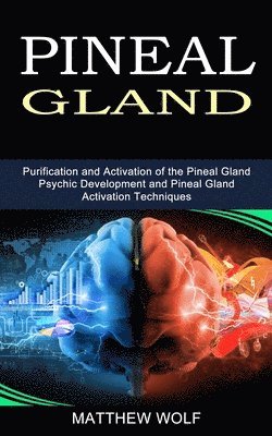 bokomslag Pineal Gland