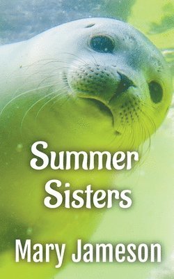 Mary Jameson - Summer Sisters, Häftad