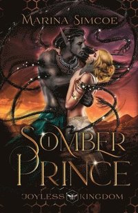 bokomslag Somber Prince