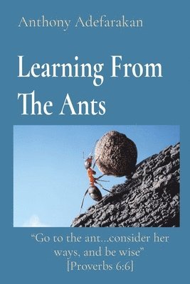 Learning From The Ants 1