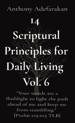 bokomslag 14 Scriptural Principles for Daily Living Vol. 6