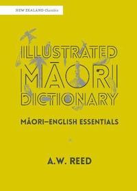 bokomslag Illustrated Mori Dictionary
