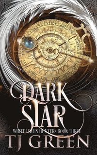 bokomslag Dark Star