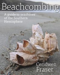 bokomslag Beachcombing