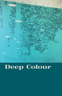 bokomslag Deep Colour