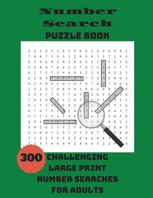 Integer Puzzles - Number Search Puzzle Book, Häftad