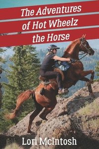 bokomslag The Adventures of Hot Wheelz the Horse