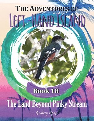 bokomslag The Adventures of Left-Hand Island