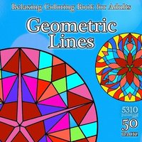 bokomslag Geometric Lines