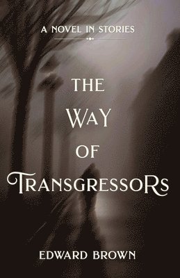 bokomslag Way of Transgressors